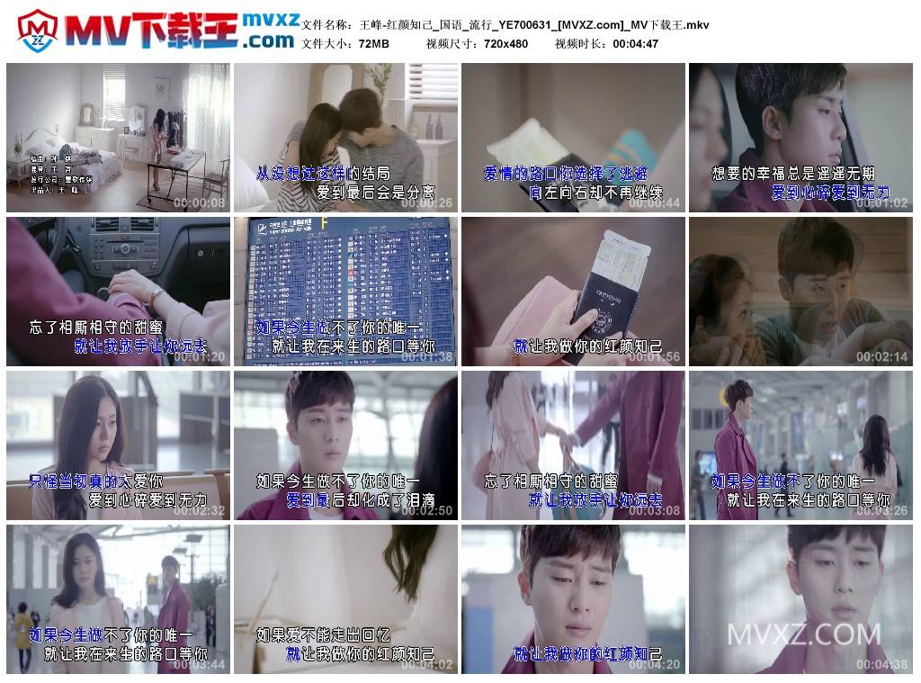 王峰-红颜知己_国语_流行_YE700631